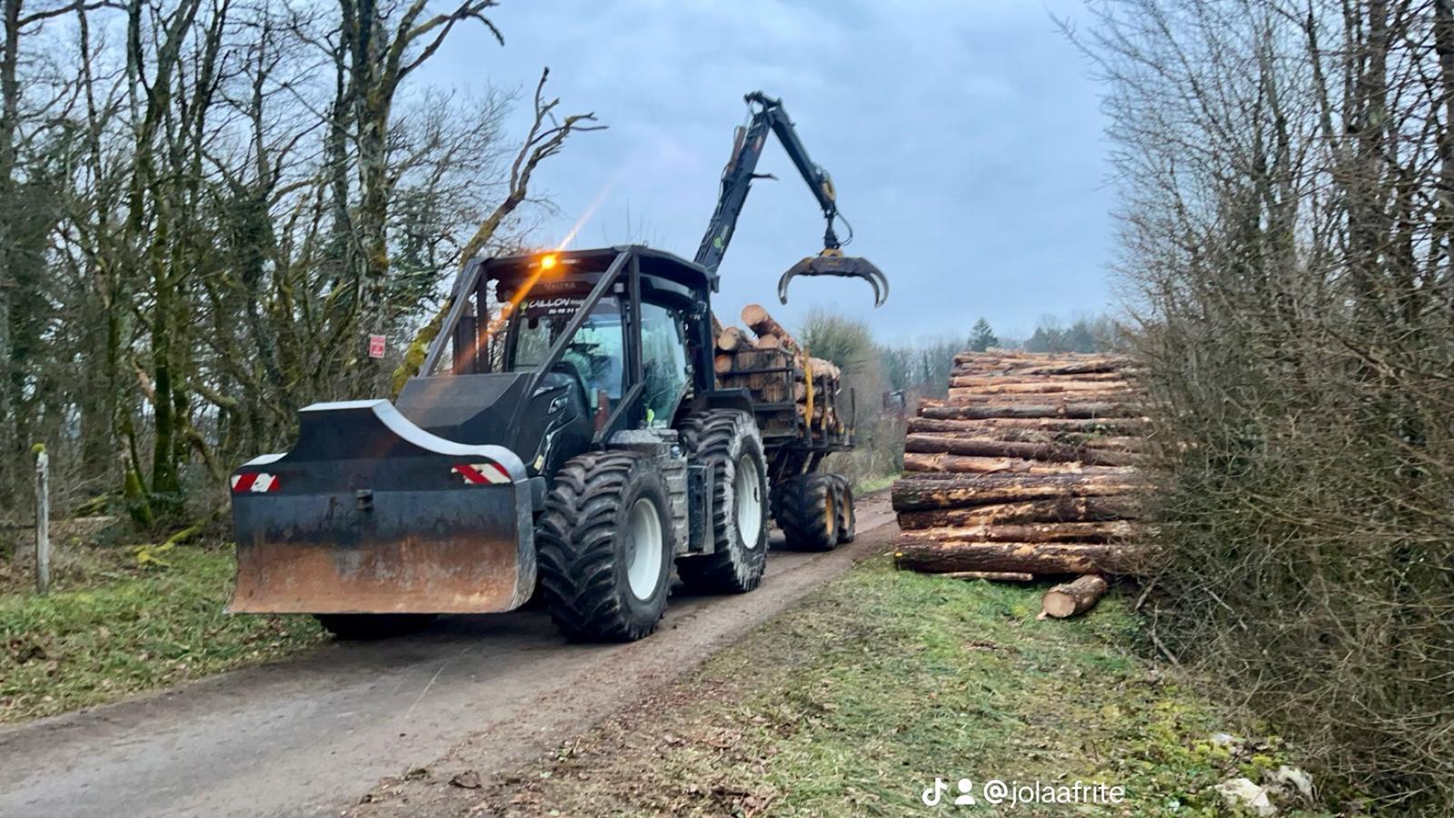 Débardage de bois dans le Jura — SAS POLYVIER